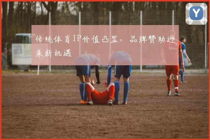 传统体育IP价值凸显，品牌赞助迎来新机遇